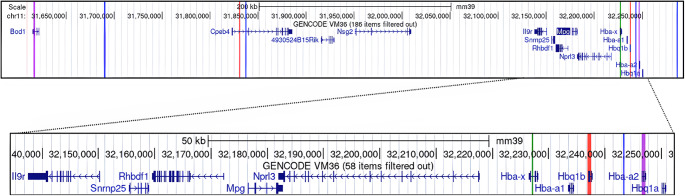 Snrnp25 is a candidate for the peri-implantation lethal phenotype of the Hba deletions.