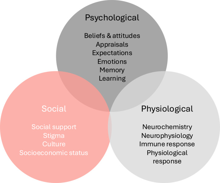 Looking Inwards: The Role of Self-Care, Self-Management and Self-Healing in Musculoskeletal Pain.