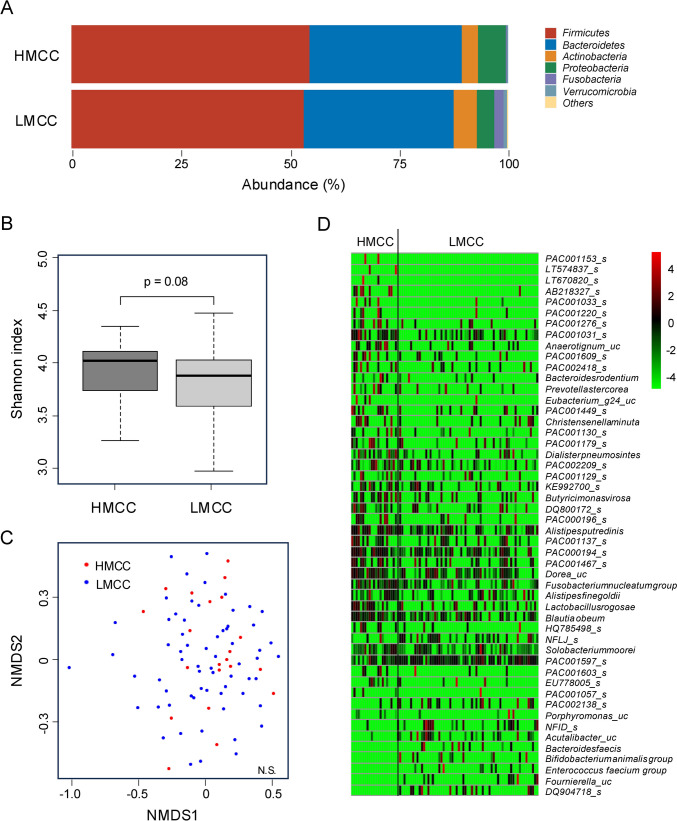 Characteristics of gut microbiota in high-methylated colorectal cancer.