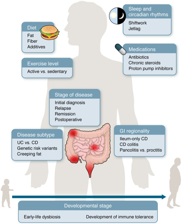 Emerging concepts and shifting paradigms for understanding the microbial basis of inflammatory bowel diseases.