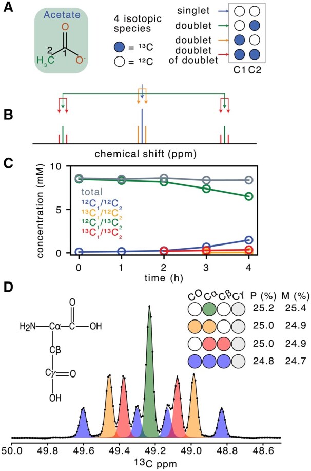 MultiNMRFit: a software to fit 1D and pseudo-2D NMR spectra.