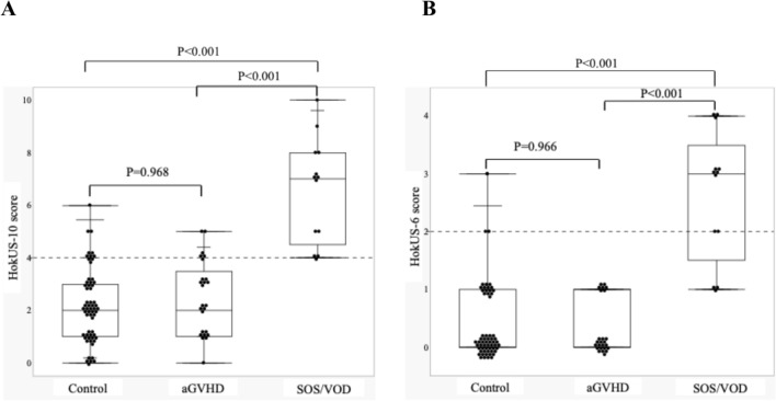 Ultrasonographic scoring system for SOS/VOD in pediatric hematopoietic stem cell transplant recipients.
