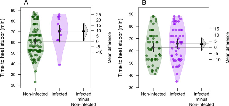A parasitic or mutualistic conundrum: can symbiotic protists increase thermal tolerance in a semi-aquatic insect?