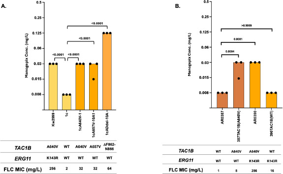 Mutations in transcription factors that confer fluconazole resistance also confer reduced susceptibility to manogepix in <i>Candida auris</i> (<i>Candidozyma auris</i>), <i>Candida albicans</i>, <i>Candida parapsilosis</i>, and <i>Candida glabrata</i> (<i>Nakaseomyces glabratus</i>).