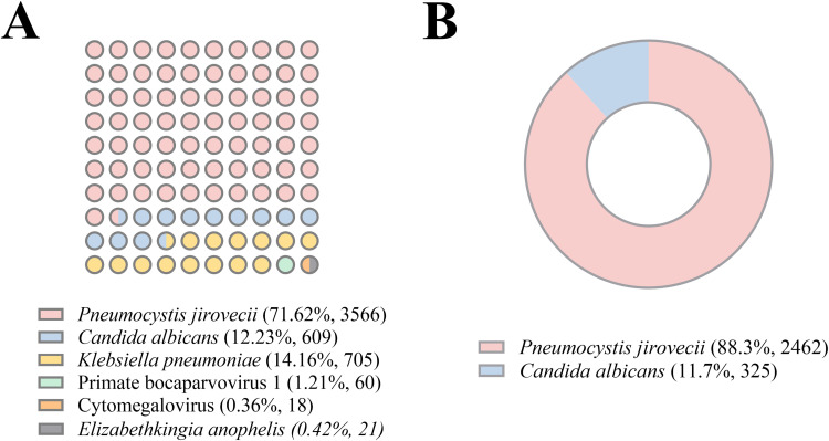Diagnostic Challenges of Six-Pathogen Detected by mNGS in an Immunocompromised ICU Patient with Severe Community-Acquired Pneumonia-Induced Sepsis: A Case Report and Literature Review.