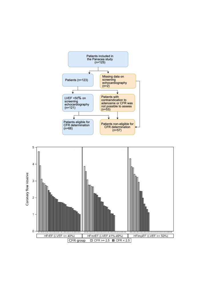 Prevalence and importance of coronary microvascular dysfunction in patients with heart failure and reduced or mildly reduced ejection fraction.