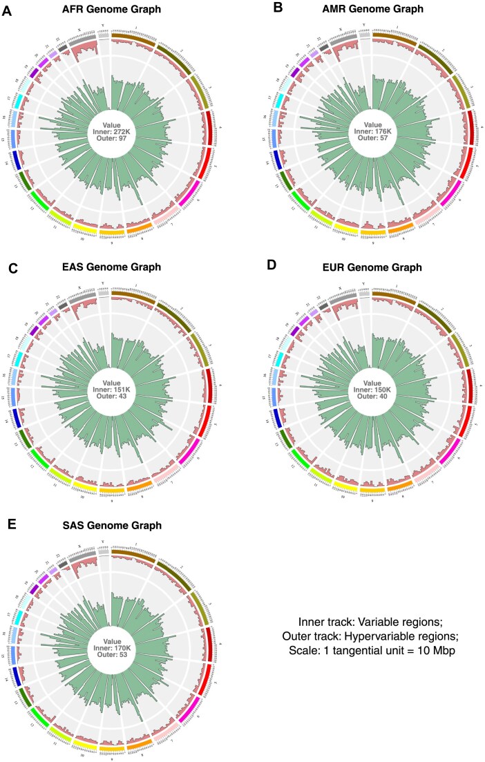GViNC: an innovative framework for genome graph comparison reveals hidden patterns in the genetic diversity of human populations.