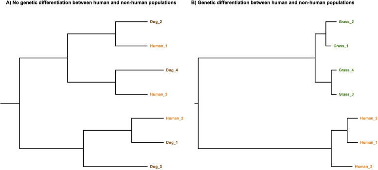 <i>Acinetobacter baumannii</i>: much more than a human pathogen.