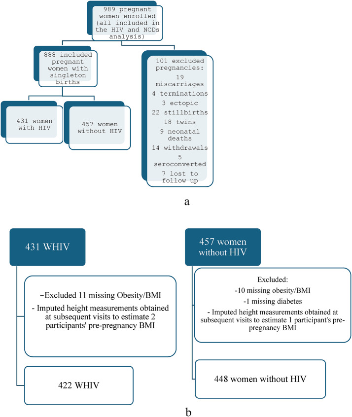 Comorbidities in pregnant South African women living with HIV and associations with adverse birth outcomes: a prospective cohort study.