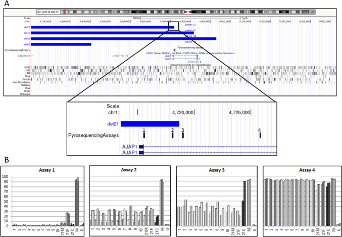 DNA methylation dysregulation patterns in the 1p36 region instability.