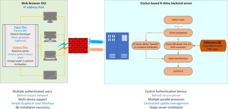 HLA-EP-RESOLVER: A Novel Web-based Bioinformatic Tool to Determine the Presence or Absence of DSA Against Rare HLA Alleles in the Era of Rapid High-resolution Deceased Donor HLA Genotyping.