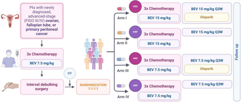 Optimizing bevacizumab dosing in first-line ovarian cancer treatment: the PGOG-ov1 trial.