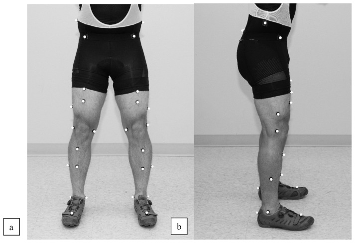 Comparison of Kinematic Outputs and Reliability of Plug-in Gait versus Conventional Gait Model 2 During Cycling.