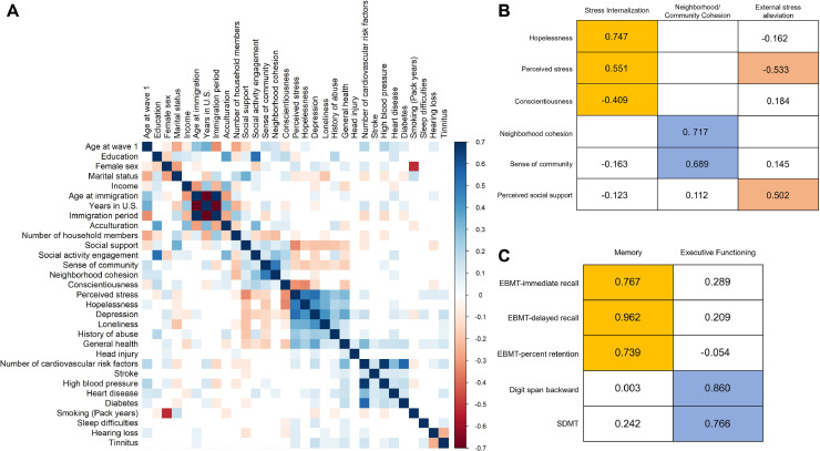 Stress internalization is a top risk for age-associated cognitive decline among older Chinese in the U.S.