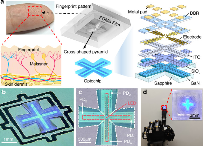 GaN/PDMS-based opto-electro-mechanical tactile sensors.