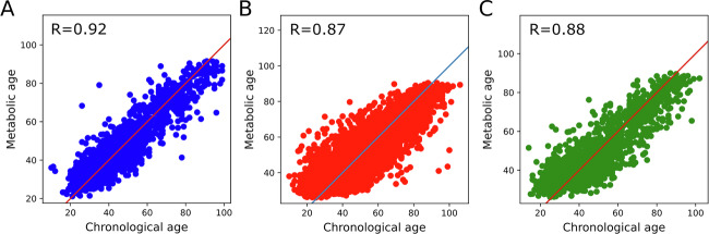 Metabolomic-based aging clocks.
