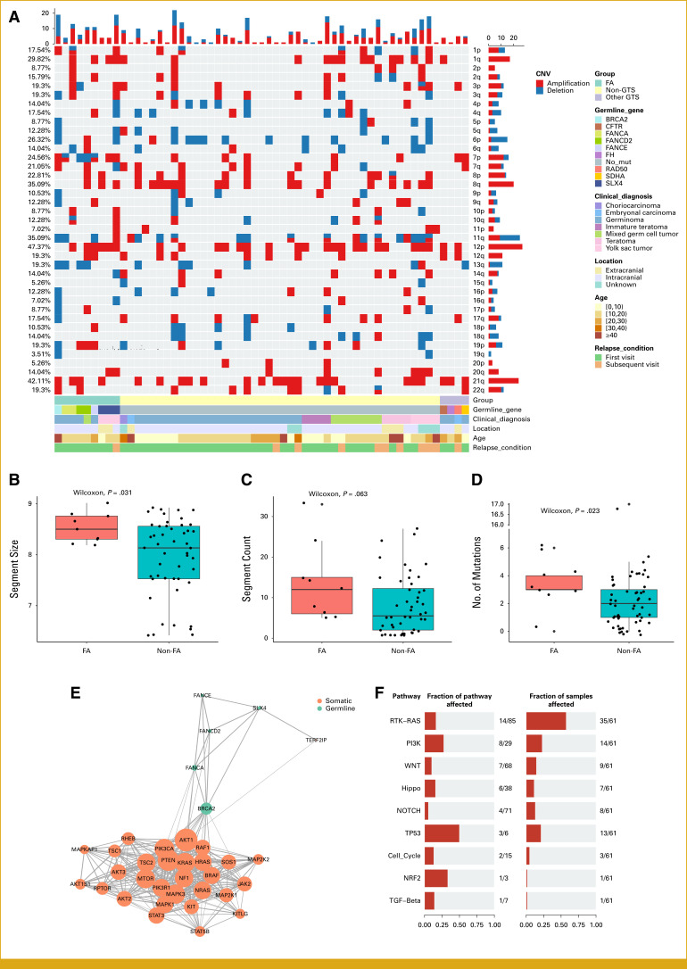 Heterozygous Germline Fanconi Anemia-Related Gene Mutations Increase Susceptibility to Germ Cell Tumors.