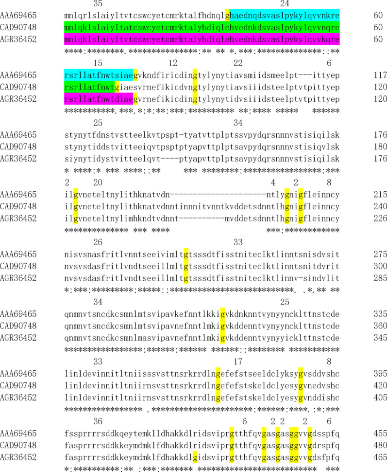 Outbreak dates of virus could be predicted by their protein sequence.