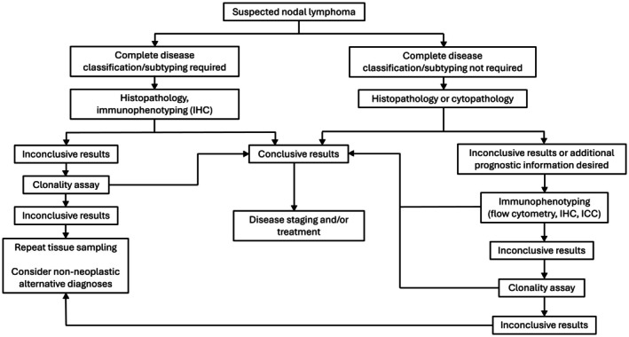 Diagnosis and Classification of Primary Nodal Lymphomas in Dogs: A Consensus of the Oncology-Pathology Working Group.