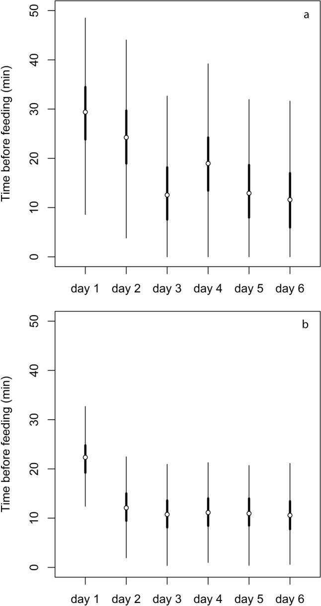 Common wall lizards learn familiar-unfamiliar identity of conspecifics through chemical cues.
