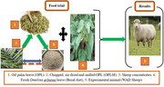 Effect of Oil Palm Leaf Meal (Elaeis guineensis) on Growth Performance, Haematology and Carcass Characteristics of West African Dwarf Sheep.