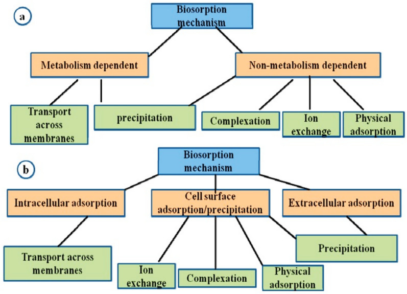 Heavy metals toxicity in plants: understanding mechanisms and developing coping strategies for remediation: a review.