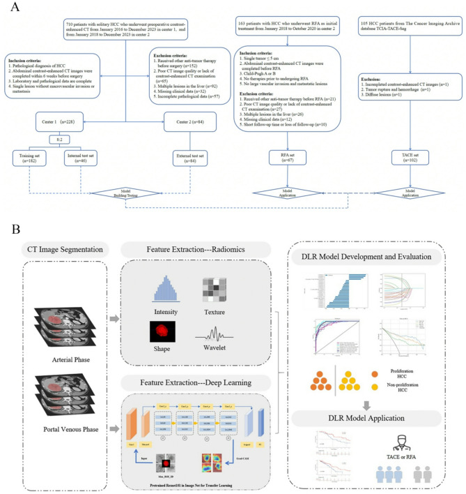 CT-based deep learning radiomics model for predicting proliferative hepatocellular carcinoma: application in transarterial chemoembolization and radiofrequency ablation.
