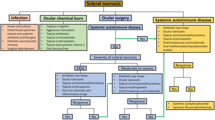 Topical erythropoietin in the management of scleral necrosis: a narrative review.