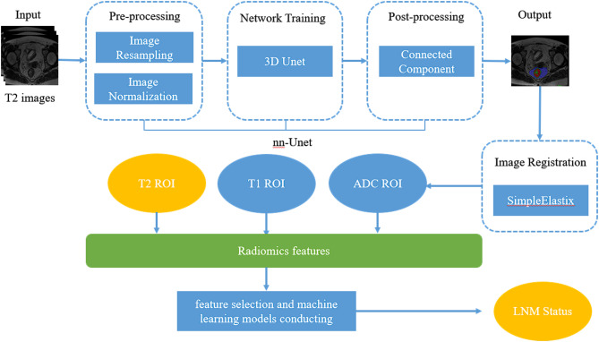 Deep learning model for predicting lymph node metastasis around rectal cancer based on rectal tumor core area and mesangial imaging features.