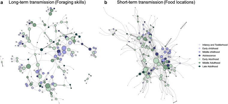 Transmission networks of long-term and short-term knowledge in a foraging society.
