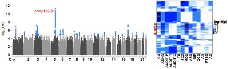 Large-scale composite hypothesis testing procedure for omics data analyses.