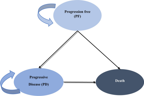 Pharmacoeconomic Analysis of Brigatinib versus Alectinib in First‑Line Treatment of Anaplastic Lymphoma Kinase‑Positive Advanced Non‑Small‑Cell Lung Cancer in China.