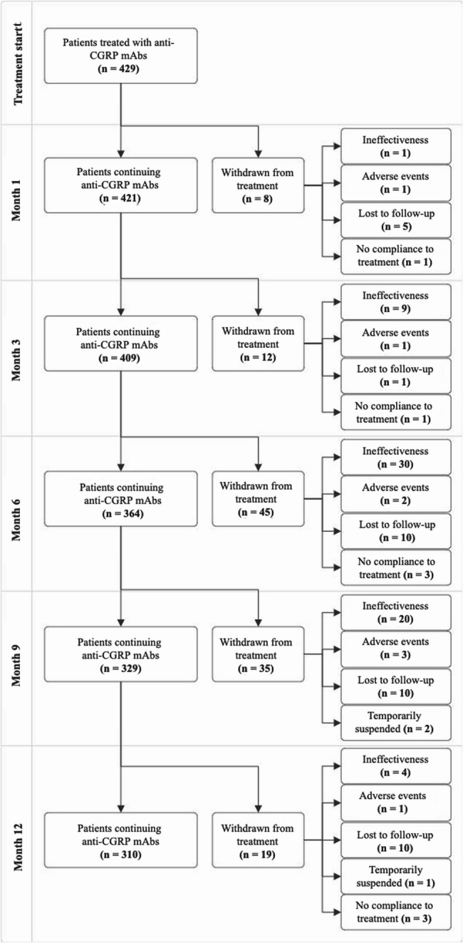 A nomogram for the prediction of response to anti-CGRP mAbs: the CGRP score.