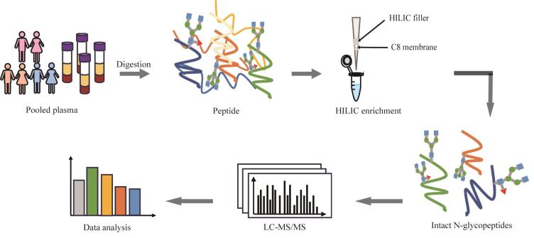 [A large-scale method for the enrichment and identification of N-glycopeptides in microscale plasma samples].