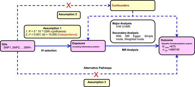 Exploration of the association between 91 inflammatory proteins and immune thrombocytopenia: a two-sample Mendelian randomization analysis.