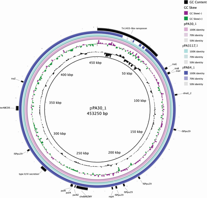 Evolution of XDR <i>Pseudomonas aeruginosa</i> ST463 strains with two plasmids harboring multiple antimicrobial resistance genes.