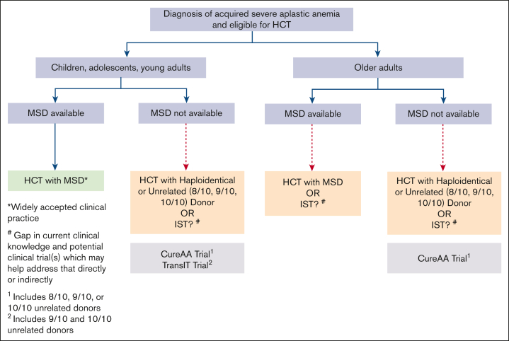 Up-front alternative donor HCT in severe aplastic anemia: gaps and opportunities to translate evidence into practice.