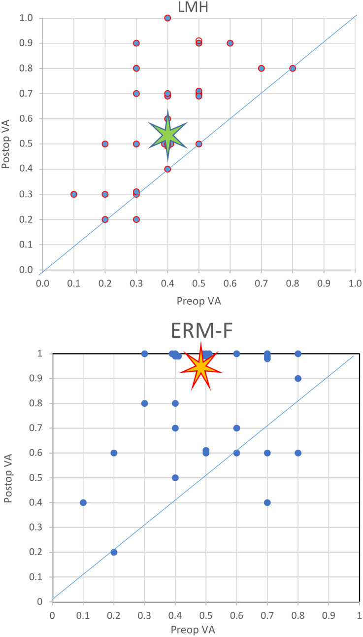 Visual Outcomes and Prognostic Factors in Epiretinal Membrane Foveoschisis and Lamellar Macular Hole Surgery: A Retrospective Study.