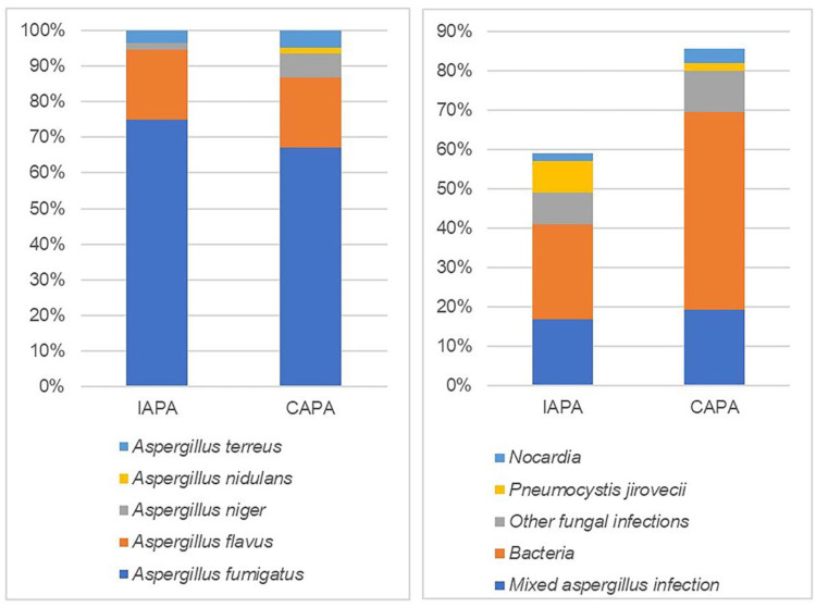 Clinical Characteristics, Prognosis, and Risk Factors for Mortality in Influenza-Associated Pulmonary Aspergillosis and COVID-19-Associated Pulmonary Aspergillosis: A Multicenter Retrospective Study.