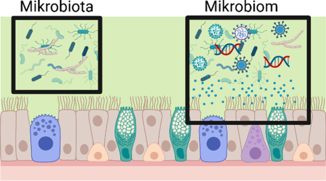 [Principles of microbiome research].