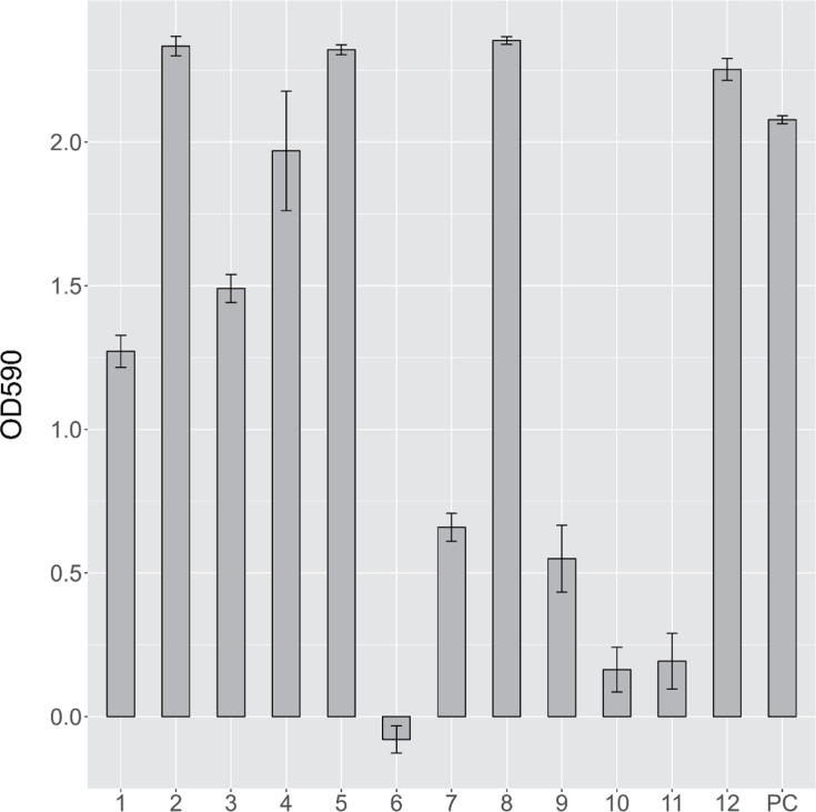 Diverse biofilm-forming <i>Sphingomonadaceae</i> represent twelve novel species isolated from glaciers on the Tibetan Plateau.