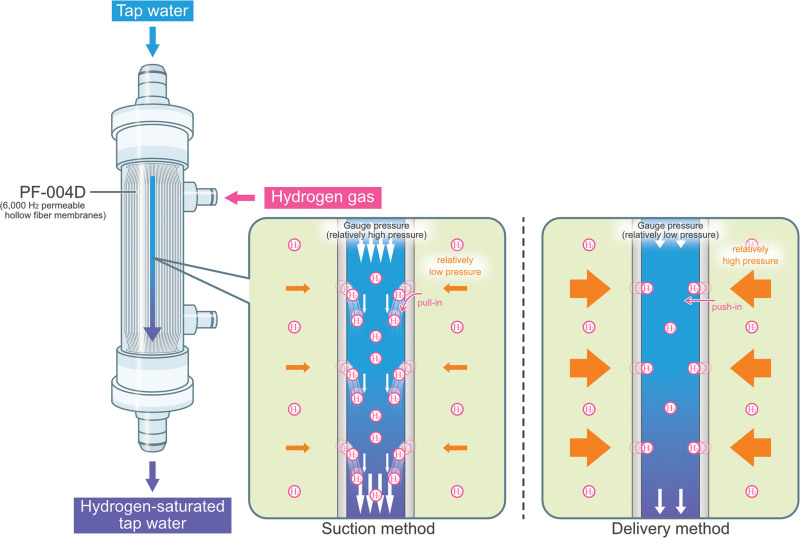 High-Concentration Hydrogen Delivery During Dialysis Using an Innovative Direct Dissolution Technique: In Vivo Kinetics in a Canine Model.