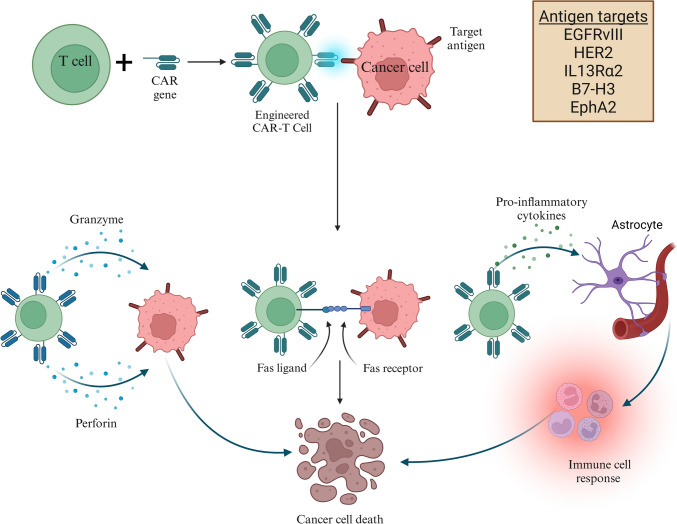 Evolving therapeutic strategies in glioblastoma: traditional approaches and novel interventions.