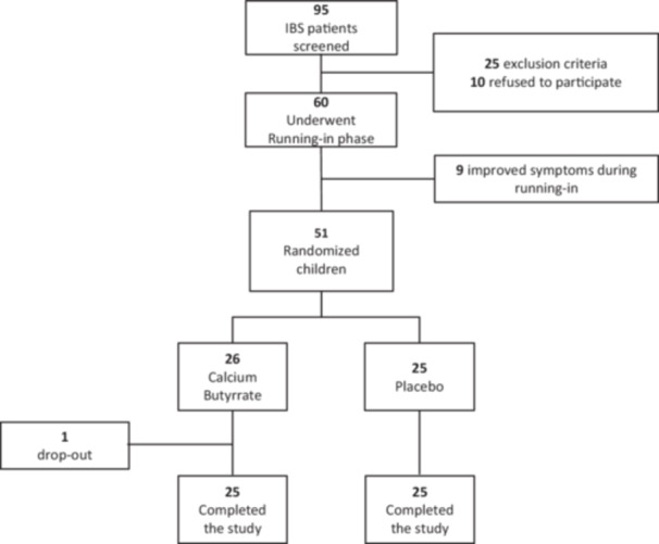 Calcium butyrate efficacy in pediatric irritable bowel syndrome: Randomized placebo-controlled multiomics-based clinical trial.