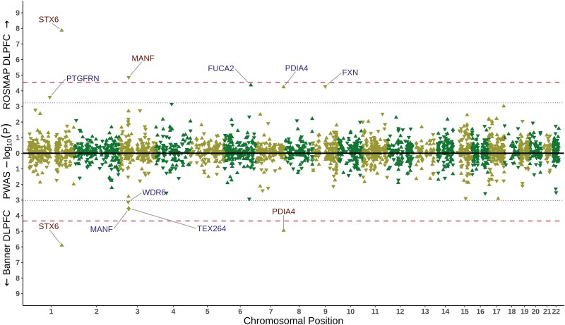 Multiomic analyses direct hypotheses for Creutzfeldt-Jakob disease risk genes.