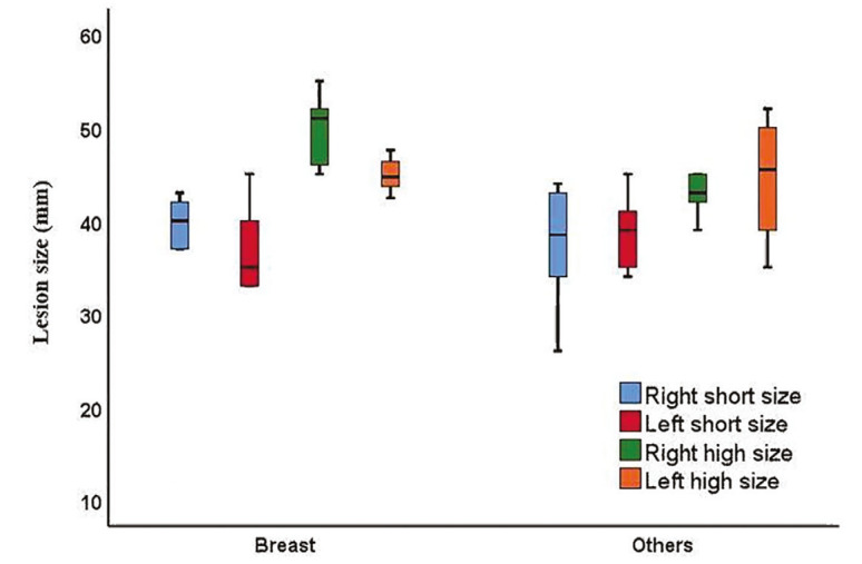 Incidental identification of elastofibroma dorsi in oncologic PET/CT imaging: a retrospective single-center analysis.