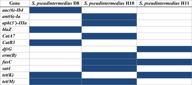 Isolation and Molecular Characterization of Three Staphylococcus pseudintermedius Strains from Dogs and Humans in Egypt.