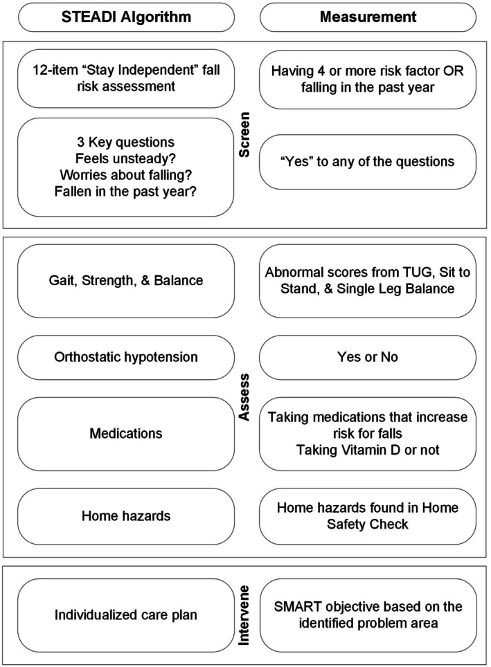 Assessment of Fall Risk in Community-Dwelling Older Adults Using the Stopping Elderly Accidents, Deaths, and Injuries Algorithm.