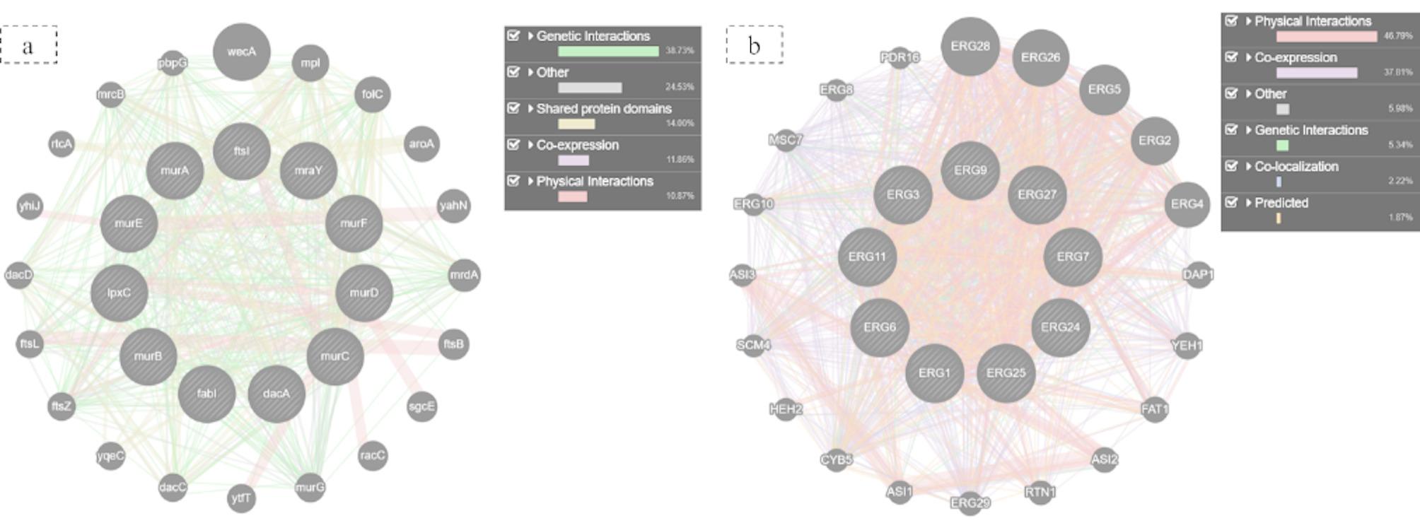 Epigenetic modulation of Ceratorhiza hydrophila by 5-azacytidine enhances antifungal metabolite production: insights from antimicrobial, metabolic, genomic and computational analyses.