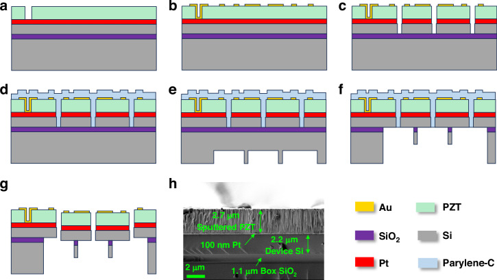 SPL and THD improvement of a cantilever-diaphragm piezoelectric MEMS loudspeaker with Double-S actuators.